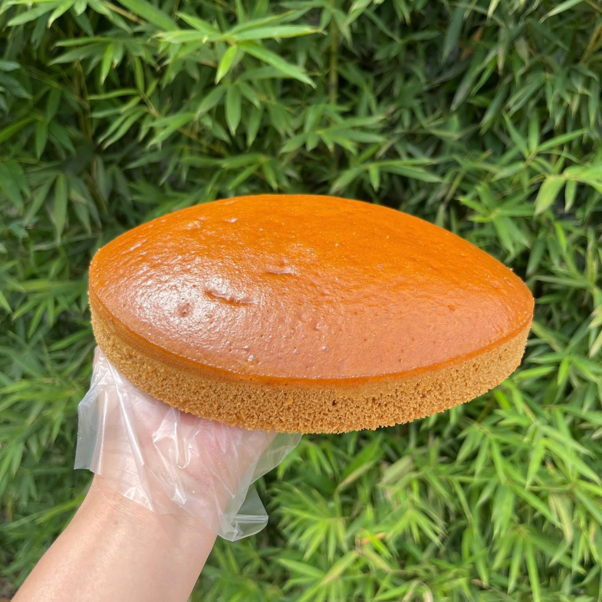 Tủ hấp bánh bò Cao Bằng chuyên dụng